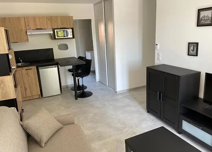 Apartment Negrin *