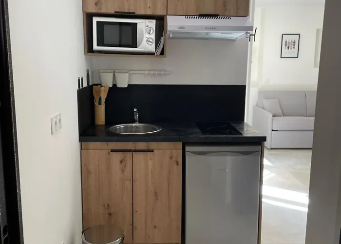 Apartman Negrin Cannes