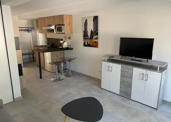 Negrin Apartman Cannes